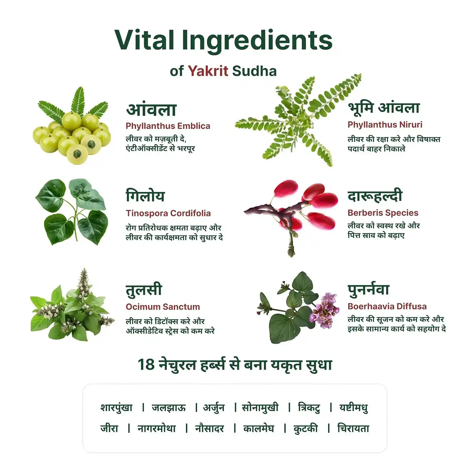 Yakrit Sudha — view 6
